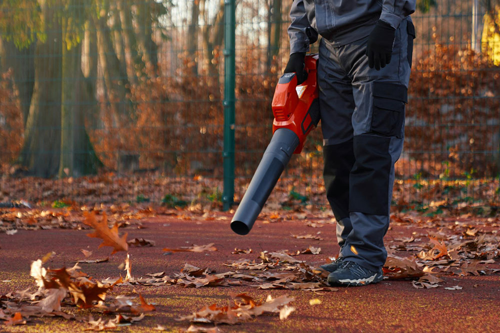 Blow and Go: The Best Cordless Leaf Blowers for Hassle-Free Yard Maintenance