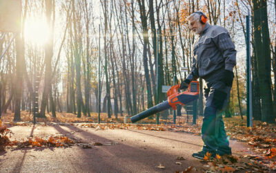 Leaf Blower Innovations: The Latest Features Redefining Yard Work