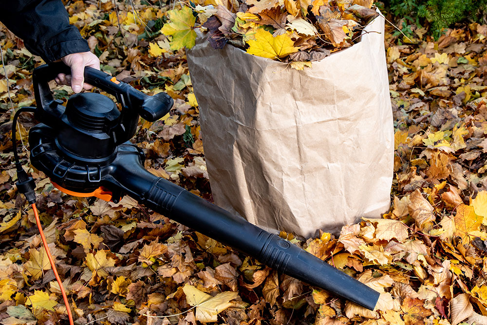 Silent Power: Reviewing the Quietest Leaf Blowers for Neighbor-Friendly Landscaping